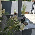 Appartement Sarm *